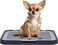 Flat dog training tray with Detachable grid pads holder, Handle design, and Non-slip base, Dog toilet for Small to medium dogs, Can be used both Indoor/Outdoor, 50 cm (Navy-Blue)