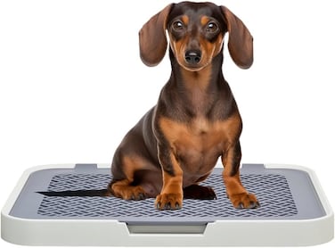 Flat dog training tray with Detachable grid pads holder, Handle design, and Non-slip base, Dog toilet for Small to medium dogs, Can be used both Indoor/Outdoor, 50 cm (White)
