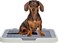 Flat dog training tray with Detachable grid pads holder, Handle design, and Non-slip base, Dog toilet for Small to medium dogs, Can be used both Indoor/Outdoor, 50 cm (White)