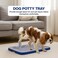 Dog toilet for small to medium dogs, Detachable plastic dog potty trainer with Pee guide post, Grid design, and Portable design, Ideal for Indoor/Outdoor use, 51 cm (Blue)