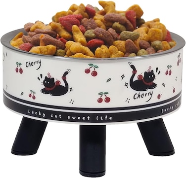 Stainless steel Raised pet bowl for Indoor Cat &amp; Small dogs, Durable pet feeding bowl with Detachable design, Plastic base, and Non-slip base, Easy to assemble, 14 cm (BLACK)