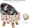 Stainless steel Raised pet bowl for Indoor Cat &amp; Small dogs, Durable pet feeding bowl with Detachable design, Plastic base, and Non-slip base, Easy to assemble, 14 cm (LIGHT BROWN)