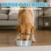 Stainless steel dog bowl with Anti-slip Rubber ring and Smooth edges, Durable pet food &amp; water bowl for Medium to Large dogs, Ideal for many types of food, Easy to clean, 26 cm (BLUE)