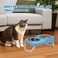 Elevated double bowl feeder for indoor cats and dogs, All-in-one Pet feeding bowl with 2 Stainless steel dishes, Durable PP material, and Anti-slip base, Eases neck strain, 36 cm (BLUE)