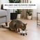 Raised cat bowl with Detachable design, Durable PP material, and Non-slip base, Stainless steel pet feeding bowl for Indoor cats &amp; small dogs, Easy to clean, 14 cm (BLACK)