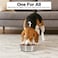 Dog feeding bowl with Non-slip Rubber ring and Smooth rounded edges, Heavy-duty stainless steel dog bowls for Medium to Large breeds, Dishwasher safe, Easy to clean 26 cm (BLACK)