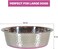 Stainless steel dog bowl for Medium to Large dogs, Heavy-duty feeding dish with Anti-slip Rubber base and Smooth edges, Suitable for many types of food, Easy to clean, 26 cm (PINK)