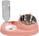 Pet feeder bowl for Cats &amp; Small dogs, 2-in-1 Automatic food and water dispenser with Detachable design, Stainless steel bowl and Durable plastic, Easy to clean, 32.3 cm (PINK)