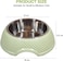 Stainless steel cat bowl with Durable PP Material, Portable design, and Non-slip base, Spill-proof pet feeding &amp; watering station for Cats &amp; Small dogs, Promotes healthy Eating, 19 cm (GREEN)