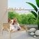 52 cm Cat lounge chair, Handmade wooden frame with Woven rattan, Modern elevated bed for Cats &amp; Small puppies, Durable scratch-proof, Pet furniture for Indoor use, Easy to Maintain &amp; Portable (Brown)