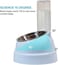 Cat double bowl with Automatic water dispenser and Stainless steel bowl, Heavy-duty plastic food &amp; water feeder for Cats &amp; Small dogs, Detachable &amp; Easy to clean, 32.3 cm (LIGHT-BLUE)