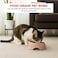 Stainless steel cat bowl with Durable PP Material, Portable design, and Non-slip base, Detachable pet feeding dish for Cats &amp; Small Dogs, Suitable for Wet/Dry food &amp; water, 19 cm (PINK)