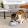 Cat feeding bowl with Bowknot decoration, Durable plastic, and Non-slip design, Heavy-duty pet feeding bowl for Cats &amp; Small dogs, Suitable for Indoor/Outdoor use, Easy to clean, 18.5 cm (GREY)