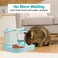 2-in-1 Automatic pet feeder and water dispenser set, Drinking water station for Indoor Cats, Durable plastic pet feeder with Food &amp; Water tanks, Easy to clean, 34 cm (Green)