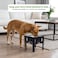 Elevated dog water bowl for Indoor dogs, 3-Height adjustable drinking bowl water dispenser with a Floating disc, Stainless steel bowl, and Non-slip base, Ideal for Healthy feeding, 24 cm (Black)