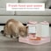 Pet feeder and water dispenser set for Indoor cats, Durable Plastic pet feeding station with Detachable water bottle &amp; Storage bucket, Easy to clean, 34 cm (Pink)