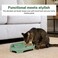 Pet double bowl feeder for Cats &amp; Small dogs, Durable PP material dog bowl with Portable design, Detachable design, and Anti-Tip design, Suitable for Indoor/Outdoor use, 30 cm (Dark Green)