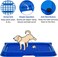 Dog toilet for Puppies and Small dogs, Durable plastic dog potty tray with Leak-proof design, Grid design, and Anti-slip bottom, Lightweight pet training tray for Indoor/Outdoor use, 49 cm (Blue)