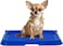 Dog toilet for Puppies and Small dogs, Durable plastic dog potty tray with Leak-proof design, Grid design, and Anti-slip bottom, Lightweight pet training tray for Indoor/Outdoor use, 49 cm (Blue)
