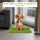 Dog toilet for Puppies and Small dogs, Durable plastic dog potty tray with Leak-proof design, Grid design, and Anti-slip bottom, Lightweight pet training tray for Indoor/Outdoor use 49 cm (Green)