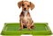 Dog toilet for Puppies and Small dogs, Durable plastic dog potty tray with Leak-proof design, Grid design, and Anti-slip bottom, Lightweight pet training tray for Indoor/Outdoor use 49 cm (Green)