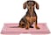 Dog toilet for Puppies and Small dogs, Durable plastic dog potty tray with Leak-proof design, Grid design, and Anti-slip bottom, Lightweight pet training tray for Indoor/Outdoor use 49 cm (Pink)