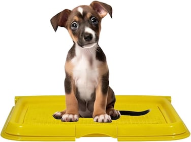 Dog toilet for Puppies and Small dogs, Durable plastic dog potty tray with Leak-proof design, Grid design, and Anti-slip bottom, Lightweight pet training tray for Indoor/Outdoor use 49 cm (Yellow)
