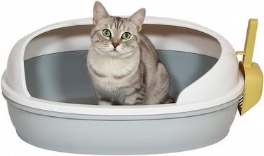 Open cat litter tray with Scoop, Spill reduce and High fence, 50 cm Pet safe material for small to medium cats, Durable plastic, Stable base, Odor free &amp; Easy to clean, Pet tray with Detachable (Grey)