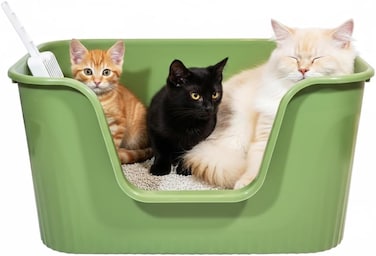 Deep cat litter box with High splash guard sides, 78 cm large plastic tray, Non-stick interior and Easy to clean, Open design for Kittens, Adult &amp; Multi-cats, Odor control and easy wipe, (Green)