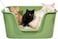 Deep cat litter box with High splash guard sides, 78 cm large plastic tray, Non-stick interior and Easy to clean, Open design for Kittens, Adult &amp; Multi-cats, Odor control and easy wipe, (Green)