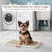 Puppy potty training toilet tray for Indoor/Outdoor use, Mess-free leak-proof pad holder with Removable plastic grid and Anti-slip base, Ideal for Puppies &amp; Small dogs, Easy to clean, 55 cm (BEIGE)