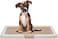 Puppy potty training toilet tray for Indoor/Outdoor use, Mess-free leak-proof pad holder with Removable plastic grid and Anti-slip base, Ideal for Puppies &amp; Small dogs, Easy to clean, 55 cm (BEIGE)