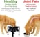 Elevated dog bowl stand for All-sized breeds, Adjustable height dog water bowl stand with a Floating disc, Stainless steel bowl, and Anti-slip base, Suitable for Indoor/Outdoor use, 24 cm (Black)