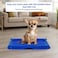 Dog potty tray with Leak-proof design, Grid design, and Anti-slip bottom, Durable plastic pet pee pad holder for Puppies and Small dogs, Suitable for Indoor/Outdoor use, Easy to clean, 49 cm (Blue)