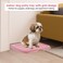 Dog potty tray with Leak-proof design, Grid design, and Anti-slip bottom, Durable plastic pet pee pad holder for Puppies and Small dogs, Suitable for Indoor/Outdoor use, Easy to clean, 49 cm (Pink)