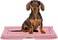 Dog potty tray with Leak-proof design, Grid design, and Anti-slip bottom, Durable plastic pet pee pad holder for Puppies and Small dogs, Suitable for Indoor/Outdoor use, Easy to clean, 49 cm (Pink)