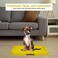 Dog potty tray with Leak-proof design, Grid design, and Anti-slip bottom, Durable plastic pet pee pad holder for Puppies and Small dogs, Suitable for Indoor/Outdoor use, Easy to clean, 49 cm (Yellow)