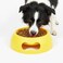 Pet feeding bowl for Medium to Large dogs, Durable plastic with non-slip, anti-skid, Spill-proof, Stable base, 30 cm Dog food dish for Dry, Wet Food &amp; Water, Lightweight, Easy to clean (Yellow)