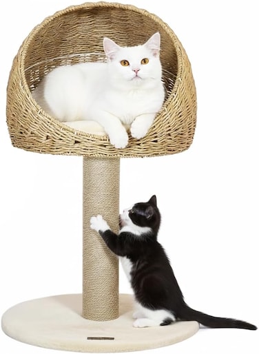 Cat scratcher tower with Wicker basket bed, Soft cushion, Ideal for Kitten to Adult cats, 75 cm Indoor cat tree with Natural rope scratching post, Cat play &amp; Rest furniture, Easy to assemble (Beige)