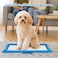 Reusable dog potty tray with Detachable plastic grid and Non-slip bottom, Indoor/Outdoor puppy toilet training pad holder, Ideal for Small to Medium Dogs, Easy to clean, 65 cm (Blue)