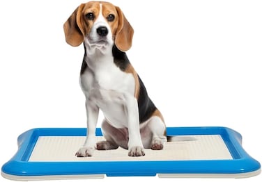 Reusable dog potty tray with Detachable plastic grid and Non-slip bottom, Indoor/Outdoor puppy toilet training pad holder, Ideal for Small to Medium Dogs, Easy to clean, 65 cm (Blue)
