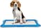 Reusable dog potty tray with Detachable plastic grid and Non-slip bottom, Indoor/Outdoor puppy toilet training pad holder, Ideal for Small to Medium Dogs, Easy to clean, 65 cm (Blue)