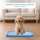Dog toilet tray with Durable plastic, Leak-proof design, and Removable grid, Puppy potty training pad holder for Small to Medium dogs, Ideal for Indoor/Outdoor use, Easy to clean, 47 cm (BLUE)