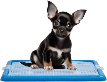 Dog toilet tray with Durable plastic, Leak-proof design, and Removable grid, Puppy potty training pad holder for Small to Medium dogs, Ideal for Indoor/Outdoor use, Easy to clean, 47 cm (BLUE)