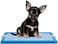 Dog toilet tray with Durable plastic, Leak-proof design, and Removable grid, Puppy potty training pad holder for Small to Medium dogs, Ideal for Indoor/Outdoor use, Easy to clean, 47 cm (BLUE)