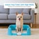 Dog toilet training tray for Indoor/Outdoor use, Leak-proof puppy potty pad holder with Raised walls and Removable grid, Suitable for Indoor/Outdoor use, Easy to clean, 43 cm (BLUE)