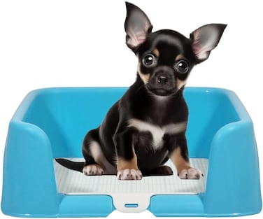 Dog toilet training tray for Indoor/Outdoor use, Leak-proof puppy potty pad holder with Raised walls and Removable grid, Suitable for Indoor/Outdoor use, Easy to clean, 43 cm (BLUE)