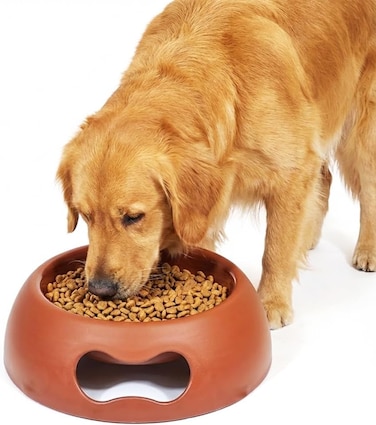 Pet feeding bowl for Medium to Large dogs, Durable plastic with non-slip, anti-skid, Spill-proof, Stable base, 30 cm Dog food dish for Dry, Wet Food &amp; Water, Lightweight, Easy to clean (Chocolate)