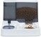 Cat feeder with Water dispenser, Food container, Ceramic bowl, and Anti-spill design, 2-in-1 Automatic pet feeding station for Cats &amp; Small dogs, Detachable &amp; Easy to clean, 30 cm (Grey)