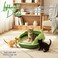 Enclosed cat litter  box with Scoop, Durable plastic &amp; High sided, 46 cm Kitty litter tray with Removable Grid, Anti-splash, Detachable and Easy to clean, Ideal for Kitten to large Indoor cats (Green)